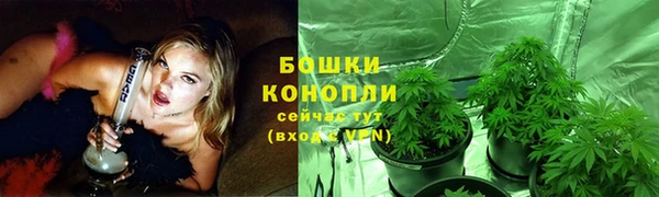 соль курить ск Богданович