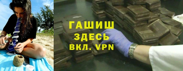 прущие грибы Бородино