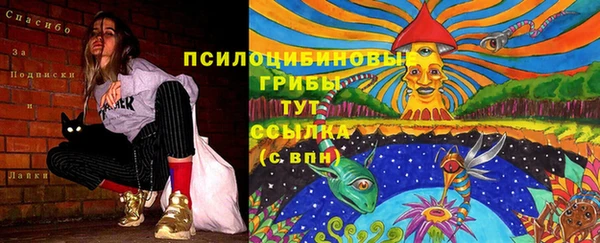 прущие грибы Бородино