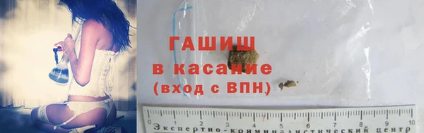 прущие грибы Богородск