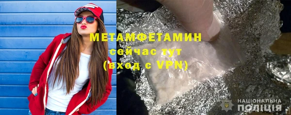 прущие грибы Бородино