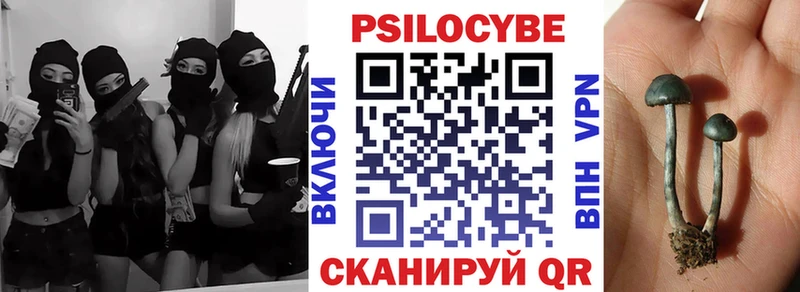 гидра ссылка  купить наркотики сайты  Балабаново  Галлюциногенные грибы Cubensis 